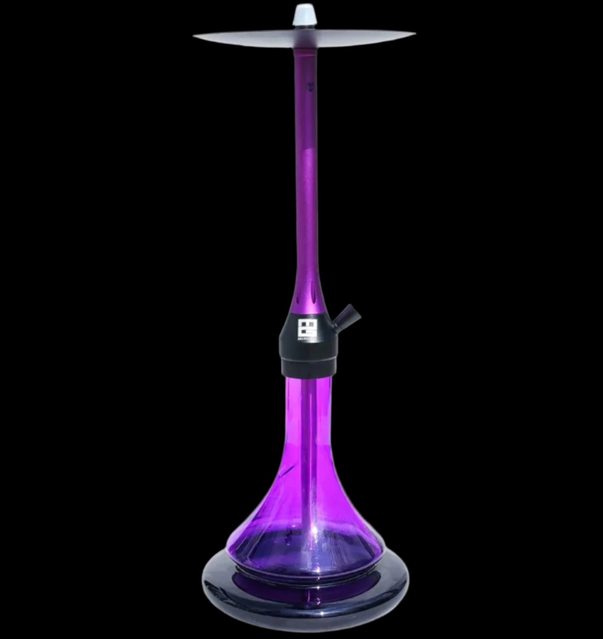 Chameleon Purple